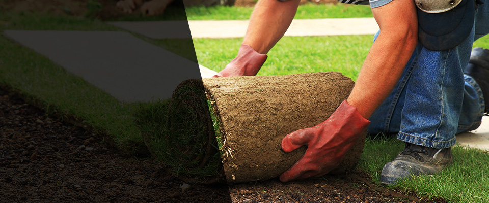New Ulm Landscapers